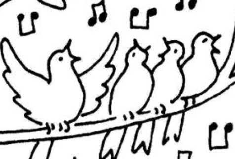 chants d'oiseaux