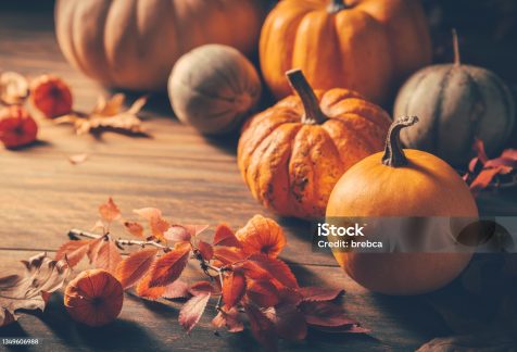 Pumpkins for Thanksgiving on wooden background